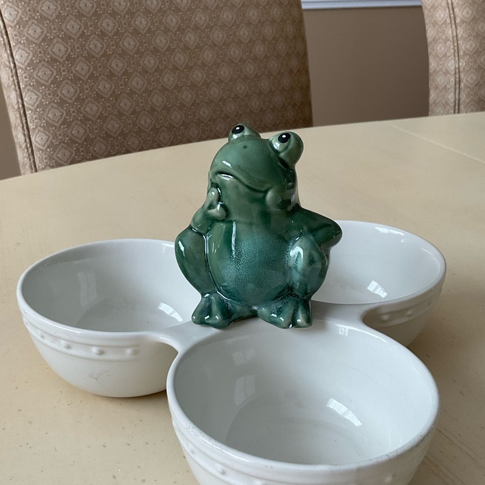 Large Ceramic Green Frog Platter Decoration - Thoughtful 🐸